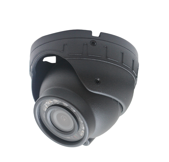 Dome Camera
